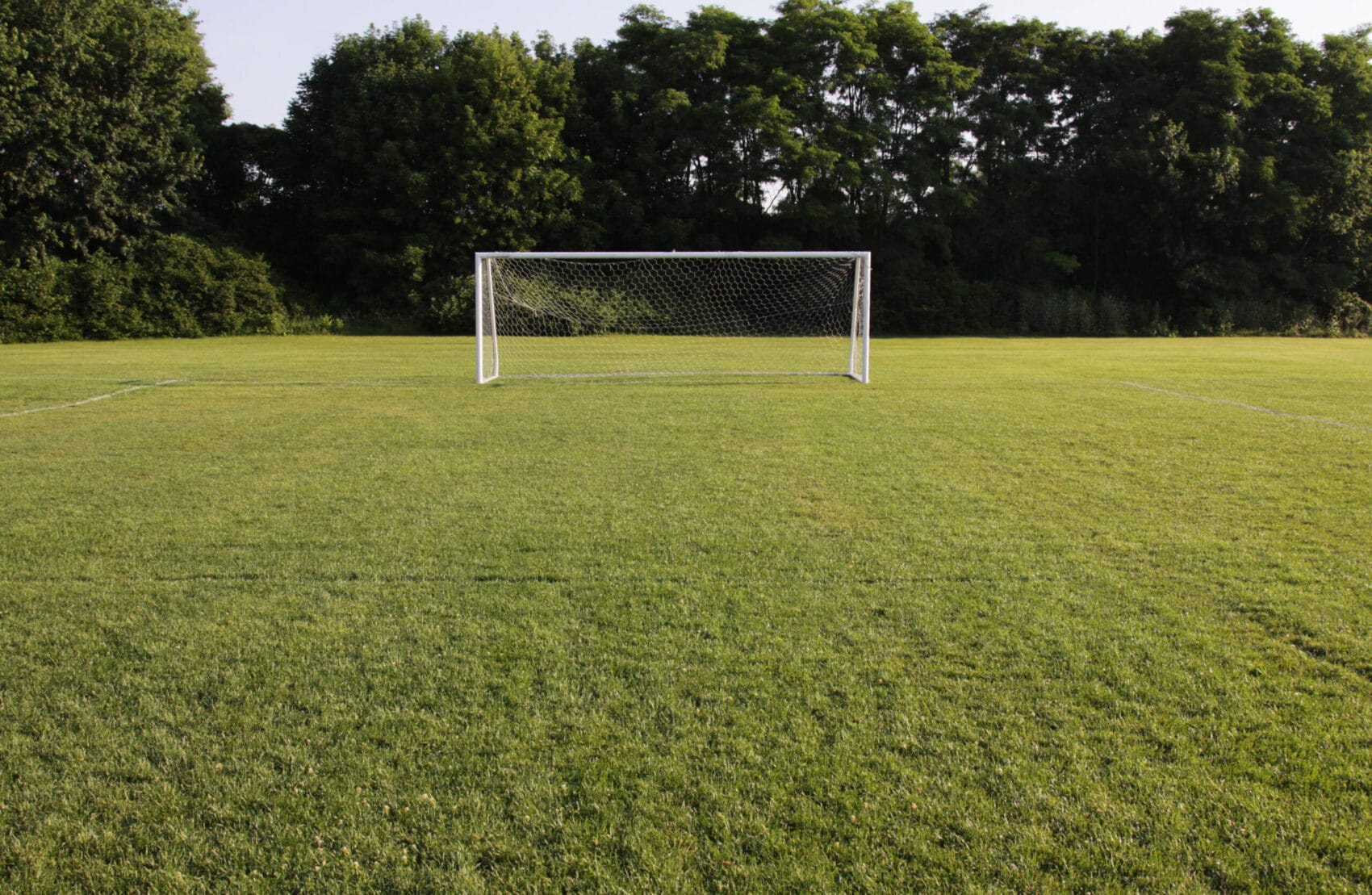 A soccer net with shot in bright sunlight with trees in the background.