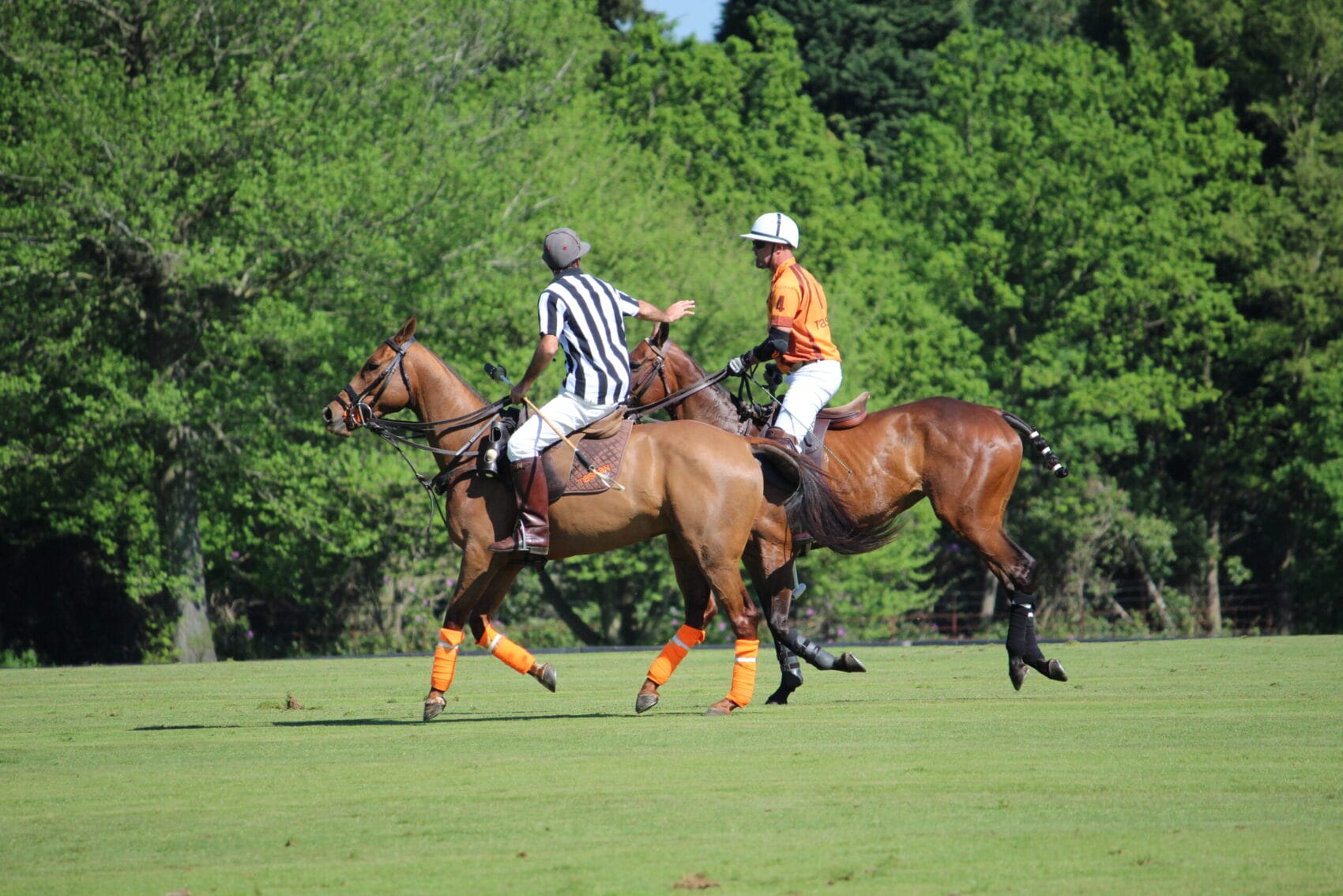 Polo match on field